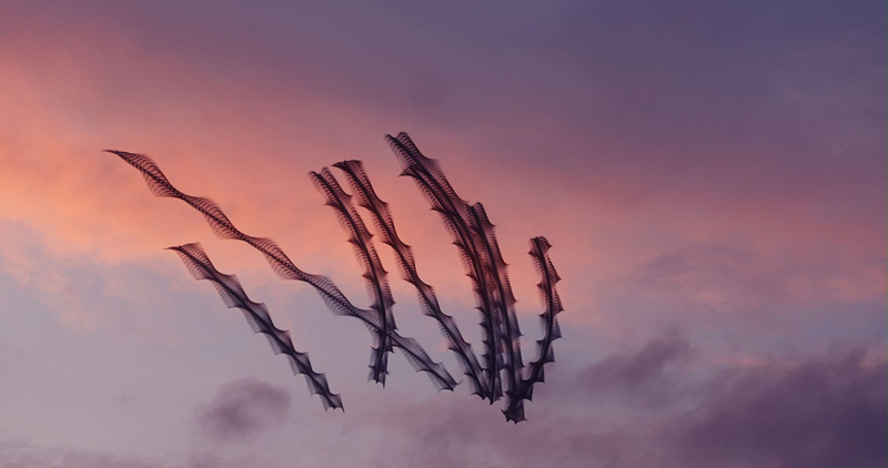 Illustration for article titled You've Never Seen Birds Fly Like This Before